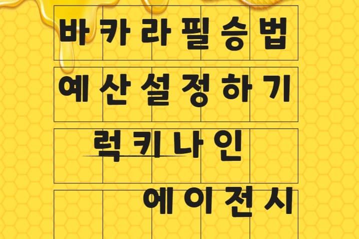 바카라필승법, 자금예산 설정하기