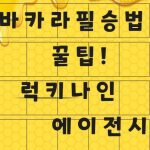 바카라필승법 아무도 알려주지 않는 꿀 팁
