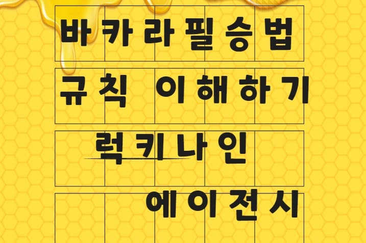 바카라필승법, 바카라규칙